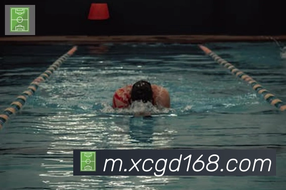 开云官方网站登录入口发展历程