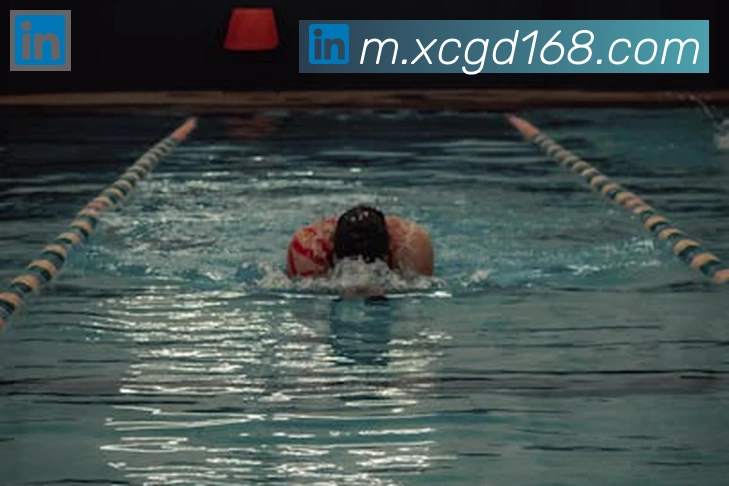 开云官方网站登录入口品牌故事