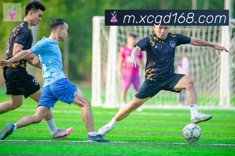 开云官方网站登录入口服务体系