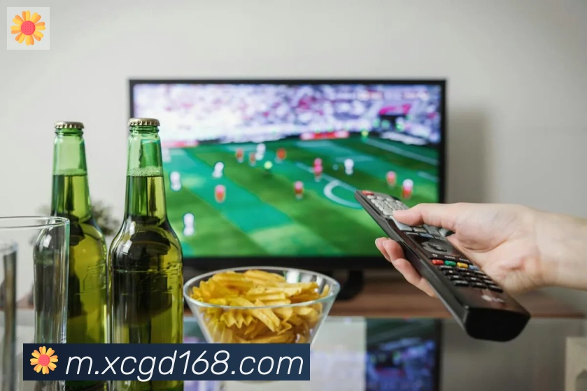 开云官方网站登录入口APP 高清赛事图