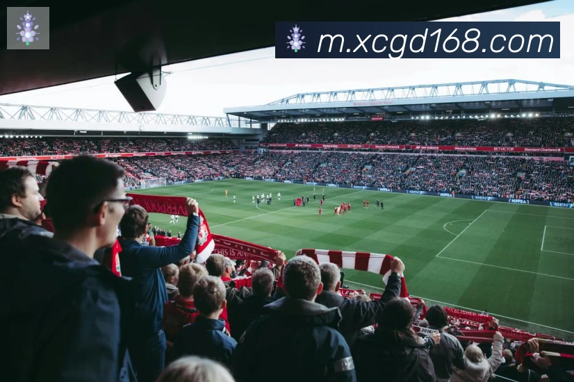 开云官方网站登录入口荣誉