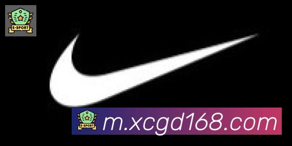 开云官方网站登录入口合作伙伴