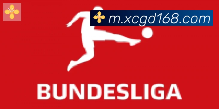 开云官方网站登录入口合作伙伴