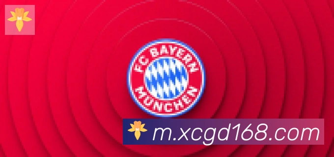 开云官方网站登录入口合作伙伴