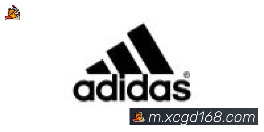 开云官方网站登录入口合作伙伴